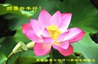 ֹ,󷨵ӹףʦ(24)
