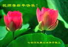 ֹ,󷨵ӹףʦ(24)
