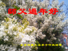 ֹ,󷨵ӹףʦ(27)
