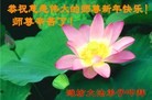 ֹ,Ϋ󷨵ӹףʦ(24)
