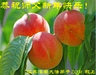 ֹ,մ󷨵ӹףʦ(27)
