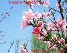ֹ,ɶ󷨵ӹףʦ(25)
