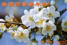 ֹ,㶫󷨵ӹףʦ(28)
