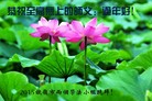 ֹ,󷨵ӹףʦ(24)
