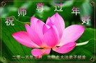 ֹ,д󷨵ӹףʦ(24)
