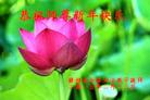 ֹ,󷨵ӹףʦ(25)
