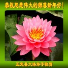 ֹ,ʯׯ󷨵ӹףʦ(27)
