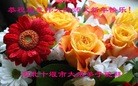 ֹ,󷨵ӹףʦ(27)
