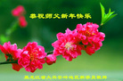 ֹ,󷨵ӹףʦ(22)
