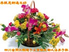 法轮功,成都大法弟子恭祝师尊过年好(25条)
