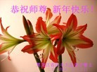 ֹ,󷨵ӹףʦ(27)
