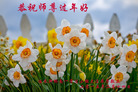 ֹ,ľ˹󷨵ӹףʦ(29)
