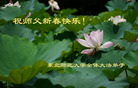 ֹ,ʡ󷨵ӹףʦ(27)
