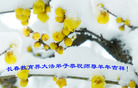 ֹ,ʡ󷨵ӹףʦ(27)
