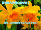 ֹ,ȷ󷨵ӹףʦ(29)
