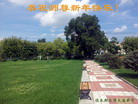 Published on 2/17/2015 ���ֹ�,����ϵͳ�󷨵��ӹ�ףʦ������(29��)
