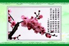 法轮功,长沙大法弟子恭祝师尊过年好(25条)
