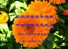ֹ,ൺ󷨵ӹףʦ(23)
