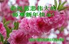 ֹ,󷨵ӹףʦ(25)
