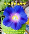 法轮功,吉林市大法弟子恭祝师尊过年好(24条)
