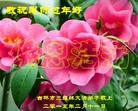ֹ,д󷨵ӹףʦ(24)
