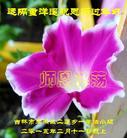法轮功,吉林市大法弟子恭祝师尊过年好(24条)
