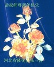 ֹ,ӱ󷨵ӹףʦ(30)
