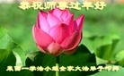 ֹ,ൺ󷨵ӹףʦ(29)

