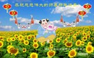ֹ,󷨵ӹףʦ(26)
