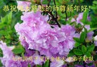 Published on 2/16/2015 ���ֹ�,��½�󷨵��ӹ�ףʦ������(37��)
