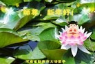 法轮功,郑州大法弟子恭祝师尊过年好(32条)
