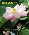 ֹ,󷨵ӹףʦ(22)
