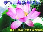 Published on 2/16/2015 ���ֹ�,��½�󷨵��ӹ�ףʦ������(37��)
