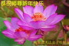 ֹ,󷨵ӹףʦ(22)
