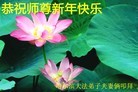 ֹ,󷨵ӹףʦ(22)
