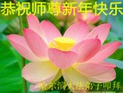ֹ,󷨵ӹףʦ(22)
