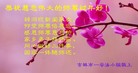 ֹ,д󷨵ӹףʦ(24)
