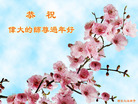 法轮功,西安大法弟子恭祝师尊过年好(23条)
