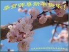 ֹ,󷨵ӹףʦ(25)
