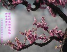 法轮功,大庆大法弟子恭祝师尊过年好(25条)
