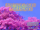 ֹ,󷨵ӹףʦ(26)
