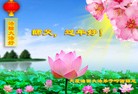 ֹ,󷨵ӹףʦ(24)
