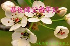 ֹ,Ϋ󷨵ӹףʦ(34)
