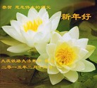 ֹ,󷨵ӹףʦ(24)
