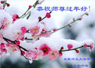 法轮功,秦皇岛大法弟子恭祝师尊过年好(21条)
