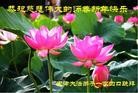 ֹ,󷨵ӹףʦ(20)
