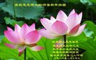 法轮功,佳木斯大法弟子恭祝师尊过年好(25条)
