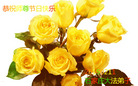 法轮功,石家庄大法弟子恭祝师尊过年好(27条)
