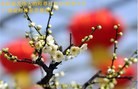 ֹ,󷨵ӹףʦ(25)
