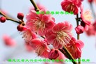 ֹ,󷨵ӹףʦ(25)
